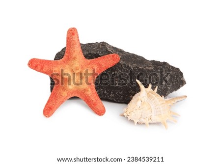 Beautiful sea star, stone and seashell isolated on white