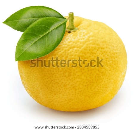 Yuzu orange isolated on white background With work path, Yellow Yuzu Orange fruit isolated on white background. Royalty-Free Stock Photo #2384539855