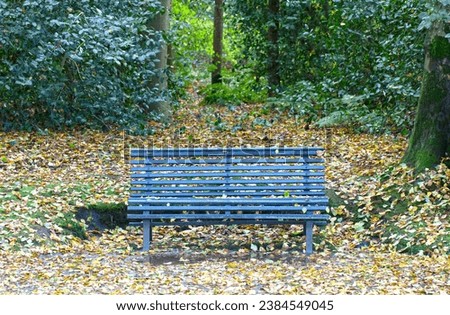 Wooden bench in a park, wet autumn leaves on ground, nature background
