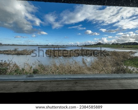 View from the bird hide at Pett Level wetland conservation area near Winchelsea, East Sussex Royalty-Free Stock Photo #2384585889