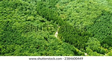 Aerial and panoramic view of curved stream and green trees and forest at National Arboretum near Pocheon-si, South Korea
