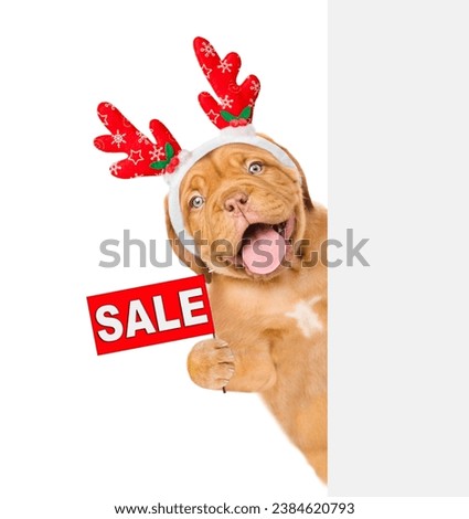 Happy Mastiff puppy dressed like santa claus reindeer  Rudolf looking from behind empty white banner and showing signboard with labeled "sale". isolated on white background