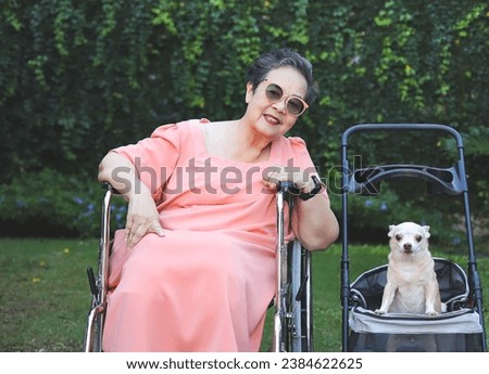 Portrait of Asian senior woman sitting on wheelchair with Chihuahua dog in pet stroller in the garden.