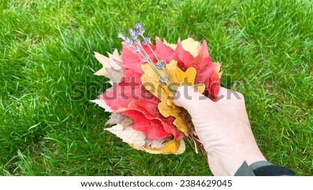A bouquet of autumn leaves in hand on a background of green grass.