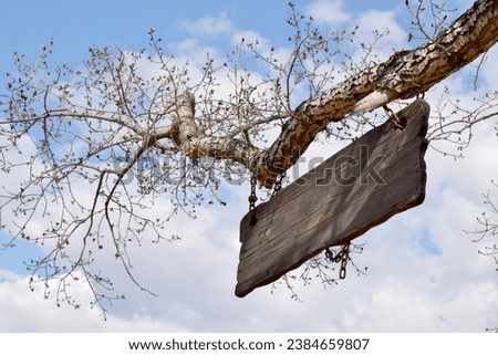 a plaque made of a wooden board hangs on the trunk of a tree