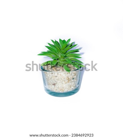 Beautiful artificial plants decorations, faux home tabletop greenery with clear glass pots isolated on white background.