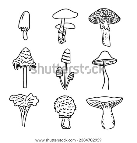Doodle line art mushrooms biology vintage illustration set. Autumn fresh tasty healthy food clip art. Old science book art