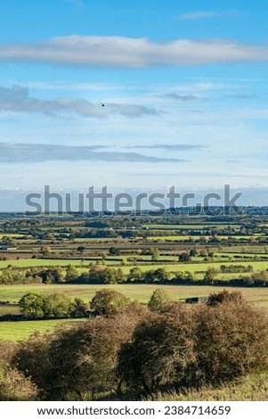 Wide field view of a kestrel (Falco tinnunculus) hovering and hunting over the Burton Dassett Hills, Warwckshire, UK