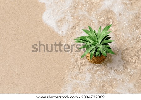 Ripe pineapple on the golden sand near the ocean