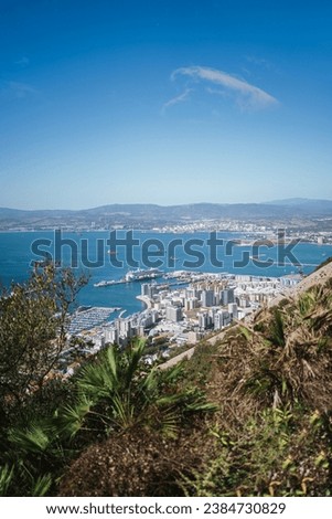 Gibraltar city skyline from Gibraltar nature reserve.