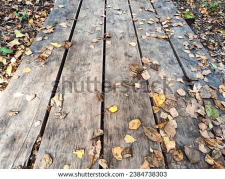 Path made of parquet boards with autumn green and yellow leaves. Background, texture, place for text, frame, copy space and location for photo shooting