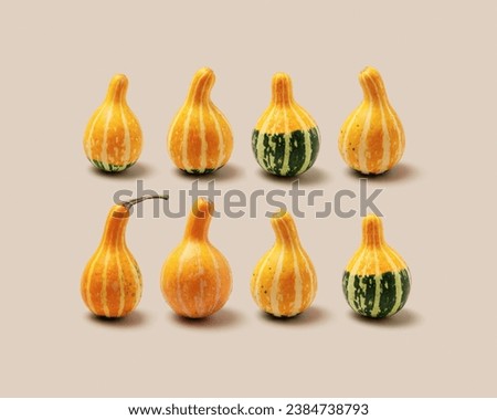 Creative 3d pattern of Decorative mini pumpkins on beige background. Minimal style aesthetic photo, stylish autumn concept, Halloween and Thanksgiving holiday. Mini cucurbita or squash, pastel color