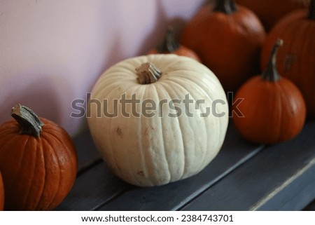 Halloween pumpkins of various shapes and sizes