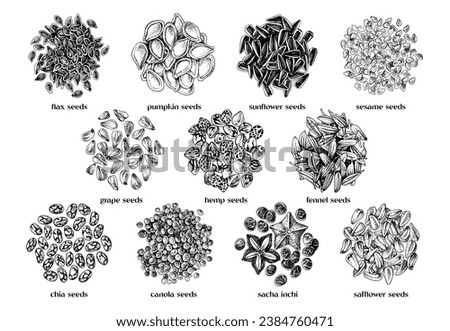 edible seeds hand drawn collection Royalty-Free Stock Photo #2384760471