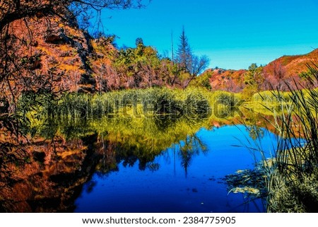 a beautiful summer landscape with a still lake surrounded by lush green trees and plants reflecting off the water at Malibu Creek State Park in Malibu California USA Royalty-Free Stock Photo #2384775905