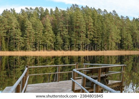 reflection of trees in the water on a reedy lake shore in autumn with a wooden boardwalk Royalty-Free Stock Photo #2384801845
