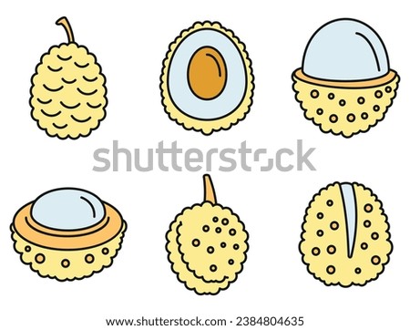 Asian lychees icons set. Outline set of asian lychees vector icons thin line color flat on white