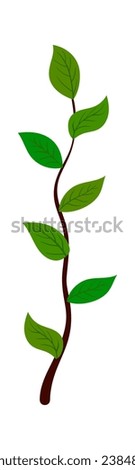 Branch of tree. Suitable for different designs. Vector Illustration.