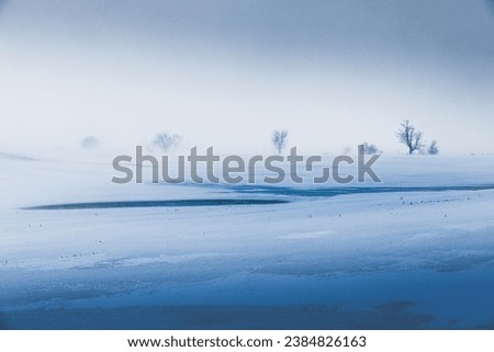 Looking across winter field in snowstorm Royalty-Free Stock Photo #2384826163