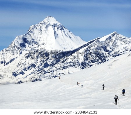 Mount Dhaulagiri and hikers on glacier, Himalayas mountains, Dhaulagiri himal, Nepal Royalty-Free Stock Photo #2384842131