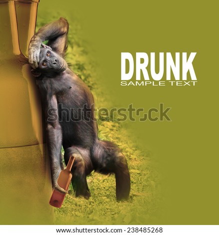 Drunken chimpanzee with hangover after party. Funny picture for your party invitation.