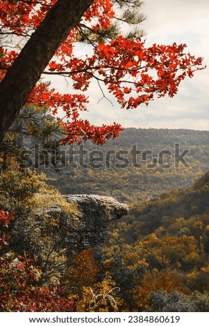 Fall afternoon at Whitaker Point, Arkansas Royalty-Free Stock Photo #2384860619