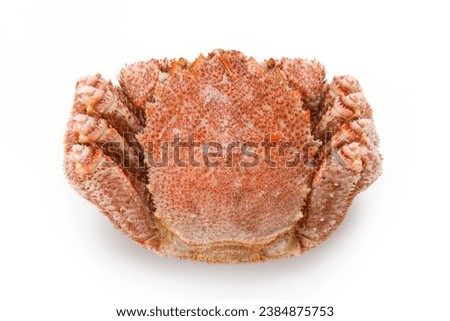 Frozen hair crab from Hokkaido on a white background