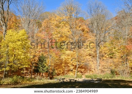 Scenery along hiking trail at Taylor Creek during Fall