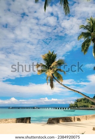 Coconut trees curve into the shoreline, standing tall and beautiful against the clouds and blue sky.