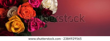 Bunch of colorful roses. Beautiful bouquet of roses in variety of colors on dusty pink background. Banner size with copy space Royalty-Free Stock Photo #2384929565