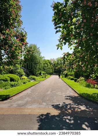 park picture taken in a bright sunny day with blue sky, beautiful flowers,lash green plants and green trees across the  beautiful road.