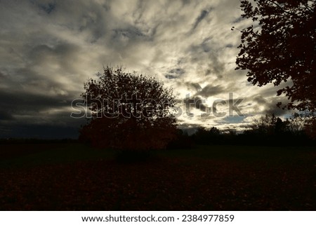 Autumn tree landskape with cloudy sky and sunlight orange blue green. High quality photo