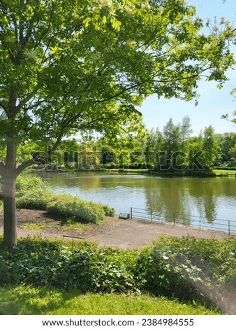amazing park picture with lash green trees, beautiful water lake, flowers, blue sky and beautiful sunny day