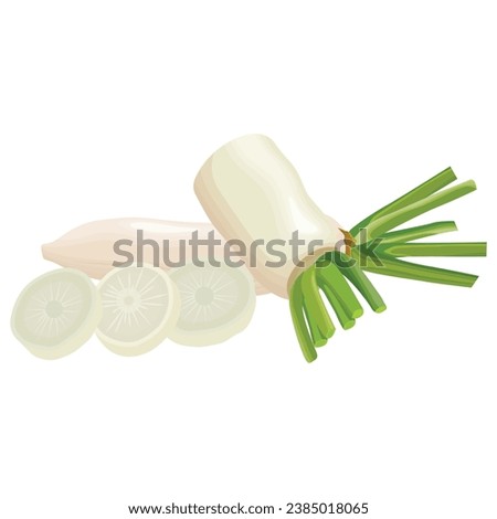 Vector illustration set of white daikon radishes in cartoon flat style. Root vegetable for banners, flyers, posters, cards. Whole, half, and sliced daikon radish. Japanese radon, White Chinese Radish Royalty-Free Stock Photo #2385018065