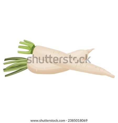 Vector illustration set of white daikon radishes in cartoon flat style. Root vegetable for banners, flyers, posters, cards. Whole, half, and sliced daikon radish. Japanese radon, White Chinese Radish Royalty-Free Stock Photo #2385018069