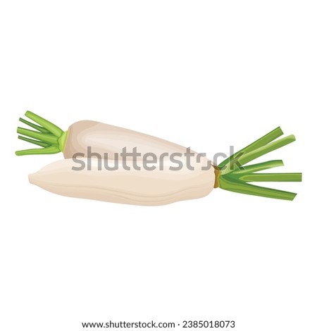 Vector illustration set of white daikon radishes in cartoon flat style. Root vegetable for banners, flyers, posters, cards. Whole, half, and sliced daikon radish. Japanese radon, White Chinese Radish Royalty-Free Stock Photo #2385018073