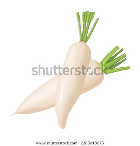 Vector illustration set of white daikon radishes in cartoon flat style. Root vegetable for banners, flyers, posters, cards. Whole, half, and sliced daikon radish. Japanese radon, White Chinese Radish Royalty-Free Stock Photo #2385018075