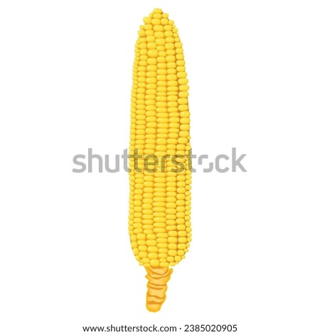 Vector illustration single and set of yellow corn in cartoon flat style. Cute corncob maize sign icon. Organic food, vegetables agriculture product. Restaurant menu concept Royalty-Free Stock Photo #2385020905
