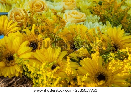 Yellow floral background with gerberas and small mirrors. Flowers decoration.