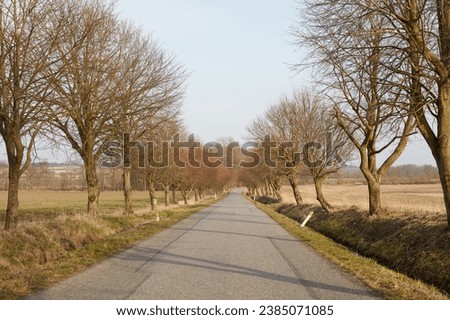 Scenic, serene highway in the countryside. Beautiful tall trees growing along a road in a peaceful autumn forest with copy space. Colourful leaves and branches on a path in a quiet, tranquil park.