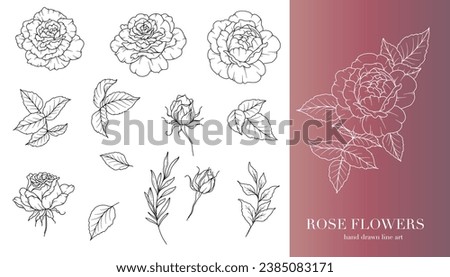 Rose Flower Line Art. Floral Frames and Bouquets Line Art. Fine Line Roses Frames Hand Drawn Illustration. Hand Draw Outline Leaves and Flowers. Botanical Coloring Page. Roses peony Isolated