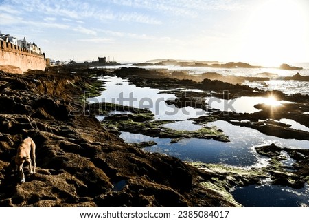 view of the coastline in brittany, beautiful photo digital picture