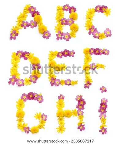 set of pink yellow flower, letter, alphabet for greeting card, present, birthday gift, mail, letter A B C D E F G H I, valentines mothers day, marriage, wedding day, Thank you, get well soon cards Royalty-Free Stock Photo #2385087217
