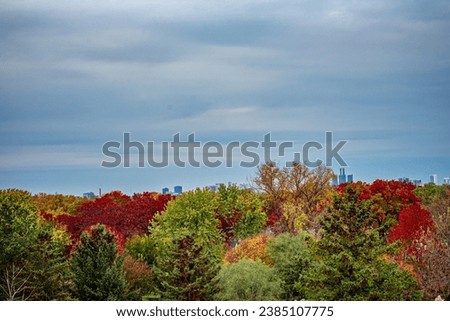 Picture of beautiful Fall season trees, the woods with multi color leaves and beautiful walks