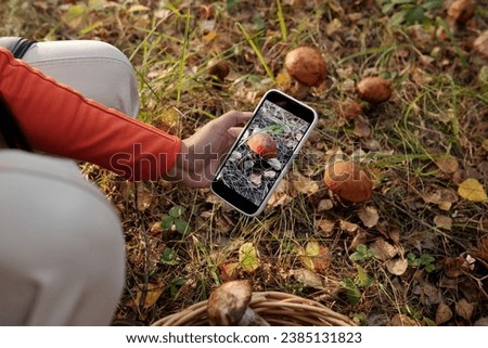 Above shot of young female mushroom picker taking picture of porcini growing on forest ground among dry leaves and grass