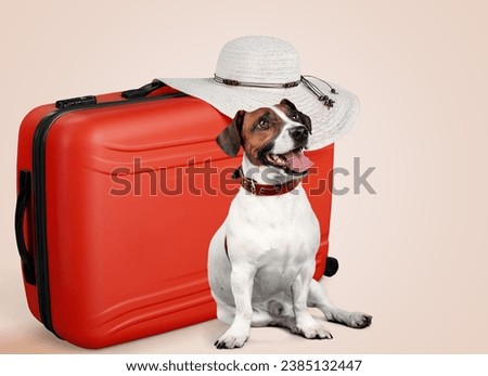 Adorable cute dog going on vacation with suitcase