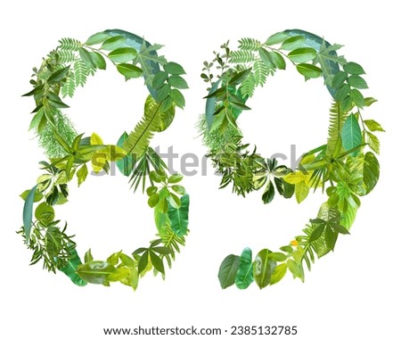 The shape of the number 89 is made of various kinds of leaves isolated on transparent background. suitable for birthday, anniversary and memorial day templates