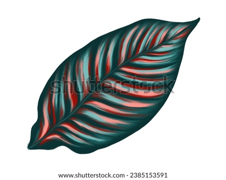 Tropical jungle palm leaf. Realistic hand drawn illustration. Isolated on white.
