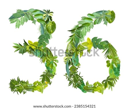 The shape of the number 36 is made of various kinds of leaves isolated on transparent background. suitable for birthday, anniversary and memorial day templates