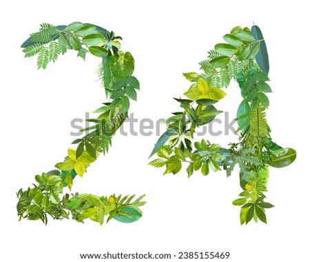 The shape of the number 24 is made of various kinds of leaves isolated on transparent background. suitable for birthday, anniversary and memorial day templates